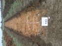 Thumbnail of Photo 110293 northeast view of trench 133 taken at Hunts Green Farm