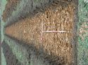 Thumbnail of Photo 110296 southwest view of trench 133 taken at Hunts Green Farm
