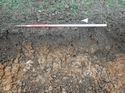 Thumbnail of Photo 110298 southeast facing representative section of trench 133 taken at Hunts Green Farm