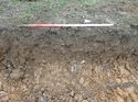 Thumbnail of Photo 110304 east facing representative section of trench 141 taken at Hunts Green Farm