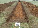 Thumbnail of Photo 110305 north view of trench 134 taken at Hunts Green Farm