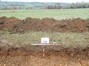 Thumbnail of Photo 110310 west facing representative section of trench 134 taken at Hunts Green Farm