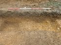 Thumbnail of Photo 110312 southeast section of ditch [914916] taken at Hunts Green Farm