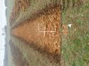 Thumbnail of Photo 110323 north view of trench 128 taken at Hunts Green Farm
