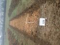 Thumbnail of Photo 110324 south view of trench 128 taken at Hunts Green Farm