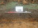 Thumbnail of Photo 110326 west facing representative section of trench 128 taken at Hunts Green Farm