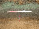 Thumbnail of Photo 110329 west facing representative section of trench 128 taken at Hunts Green Farm
