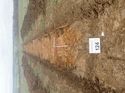 Thumbnail of Photo 110332 west view of trench 124 taken at Hunts Green Farm