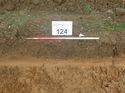Thumbnail of Photo 110334 south facing representative section of trench 124 taken at Hunts Green Farm