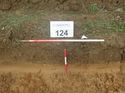 Thumbnail of Photo 110335 south facing representative section of trench 124 taken at Hunts Green Farm