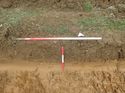 Thumbnail of Photo 110336 south facing representative section of trench 124 taken at Hunts Green Farm