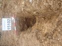 Thumbnail of Photo 110339 east facing section of rooting [915102] taken at Hunts Green Farm