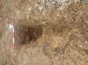 Thumbnail of Photo 110340 east facing section of rooting [915102] taken at Hunts Green Farm