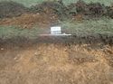 Thumbnail of Photo 110341 west facing section of rooting [914602] taken at Hunts Green Farm