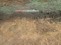 Thumbnail of Photo 110342 west facing section of rooting [914602] taken at Hunts Green Farm