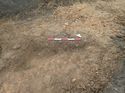 Thumbnail of Photo 110344 southwest facing section of rooting [914603] taken at Hunts Green Farm
