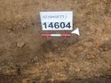 Thumbnail of Photo 110345 south facing section of rooting or ditch [914604] taken at Hunts Green Farm