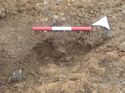 Thumbnail of Photo 110346 south facing section of rooting or ditch [914604] taken at Hunts Green Farm