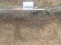 Thumbnail of Photo 110347 north facing section of rooting or ditch [914606] taken at Hunts Green Farm