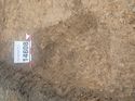 Thumbnail of Photo 110350 east facing section of rooting [914608] taken at Hunts Green Farm