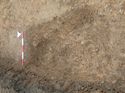 Thumbnail of Photo 110351 east facing section of rooting [914608] taken at Hunts Green Farm