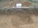 Thumbnail of Photo 110352 south facing section of rooting [914608] taken at Hunts Green Farm