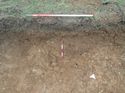 Thumbnail of Photo 110356 south facing section of rooting [914609] taken at Hunts Green Farm