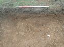 Thumbnail of Photo 110357 south facing section of rooting [914609] taken at Hunts Green Farm