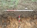 Thumbnail of Photo 120390 northeast facing repsentative section of trench 138 taken at Hunts Green Farm