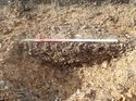 Thumbnail of Photo 120392 northeast facing section of pit [913403] taken at Hunts Green Farm