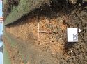 Thumbnail of Photo 120397 northeast view of trench 130 taken at Hunts Green Farm