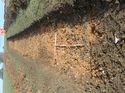 Thumbnail of Photo 120398 northeast view of trench 130 taken at Hunts Green Farm