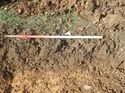 Thumbnail of Photo 120401 southwest facing repsentative section of trench 130 taken at Hunts Green Farm