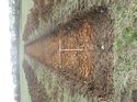 Thumbnail of Photo 120403 southeast view of trench 127 taken at Hunts Green Farm