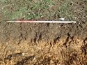 Thumbnail of Photo 120407 west facing repsentative section of trench 127 taken at Hunts Green Farm