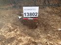 Thumbnail of Photo 120408 north facing section of rooting [913802] taken at Hunts Green Farm