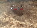 Thumbnail of Photo 120409 north facing section of rooting [913802] taken at Hunts Green Farm