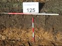 Thumbnail of Photo 120414 south facing repsentative section of trench 125 taken at Hunts Green Farm