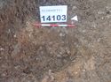 Thumbnail of Photo 120418 south facing section of rooting [914103] taken at Hunts Green Farm