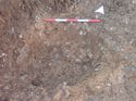 Thumbnail of Photo 120419 south facing section of rooting [914103] taken at Hunts Green Farm