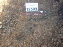 Thumbnail of Photo 120422 south facing section of pit [912503] taken at Hunts Green Farm