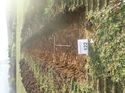 Thumbnail of Photo 120424 south view of trench 122 taken at Hunts Green Farm