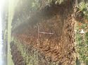 Thumbnail of Photo 120425 south view of trench 122 taken at Hunts Green Farm