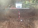 Thumbnail of Photo 120428 northeast facing repsentative section of trench 125 taken at Hunts Green Farm