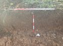 Thumbnail of Photo 120429 northeast facing repsentative section of trench 125 taken at Hunts Green Farm