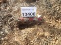 Thumbnail of Photo 130438 north facing section of rooting [914108] taken at Hunts Green Farm