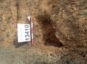 Thumbnail of Photo 130441 south facing section of rooting [913410] taken at Hunts Green Farm