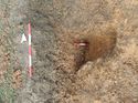 Thumbnail of Photo 130444 south facing section of rooting [913410] taken at Hunts Green Farm