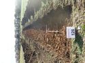 Thumbnail of Photo 130453 south view of trench 126 taken at Hunts Green Farm