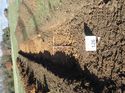 Thumbnail of Photo 130455 north view of trench 126 taken at Hunts Green Farm